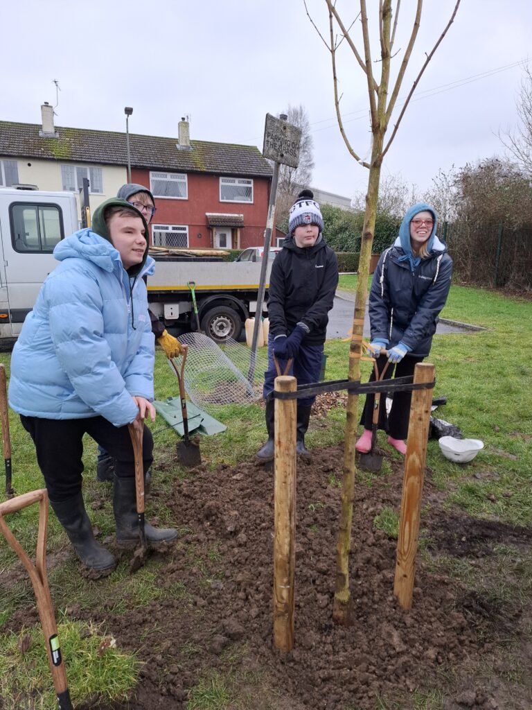Children tree planting