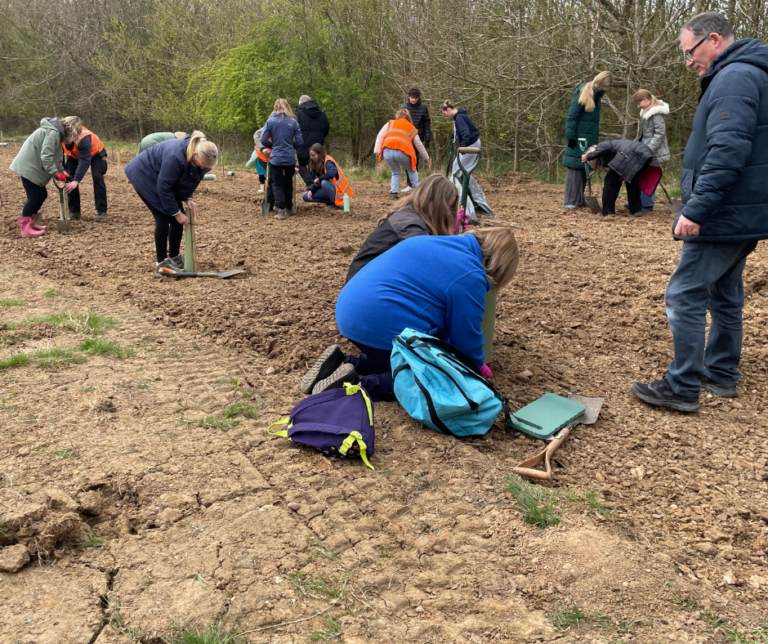 Group of people, including Foster Families, planting trees