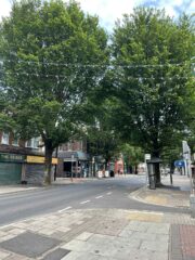 Trees on a high street
