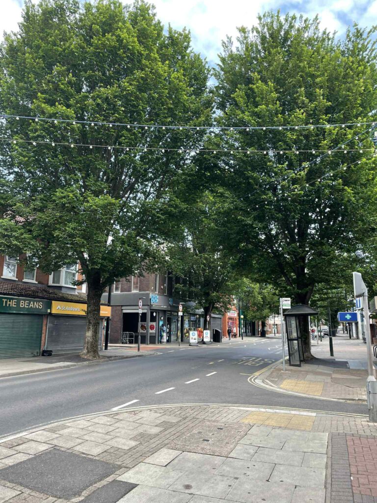 Trees on a high street