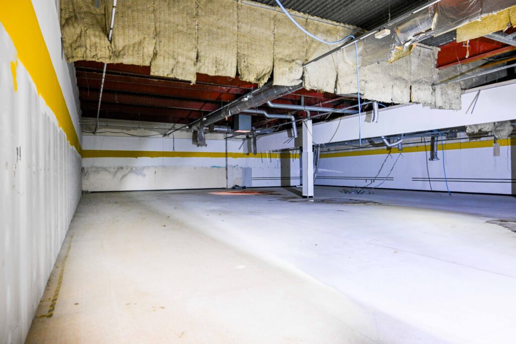 3-15 Osborne St interior 2025