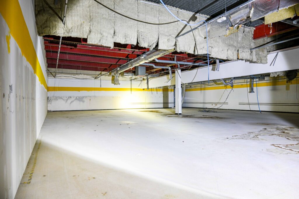 3-15 Osborne St interior 2025