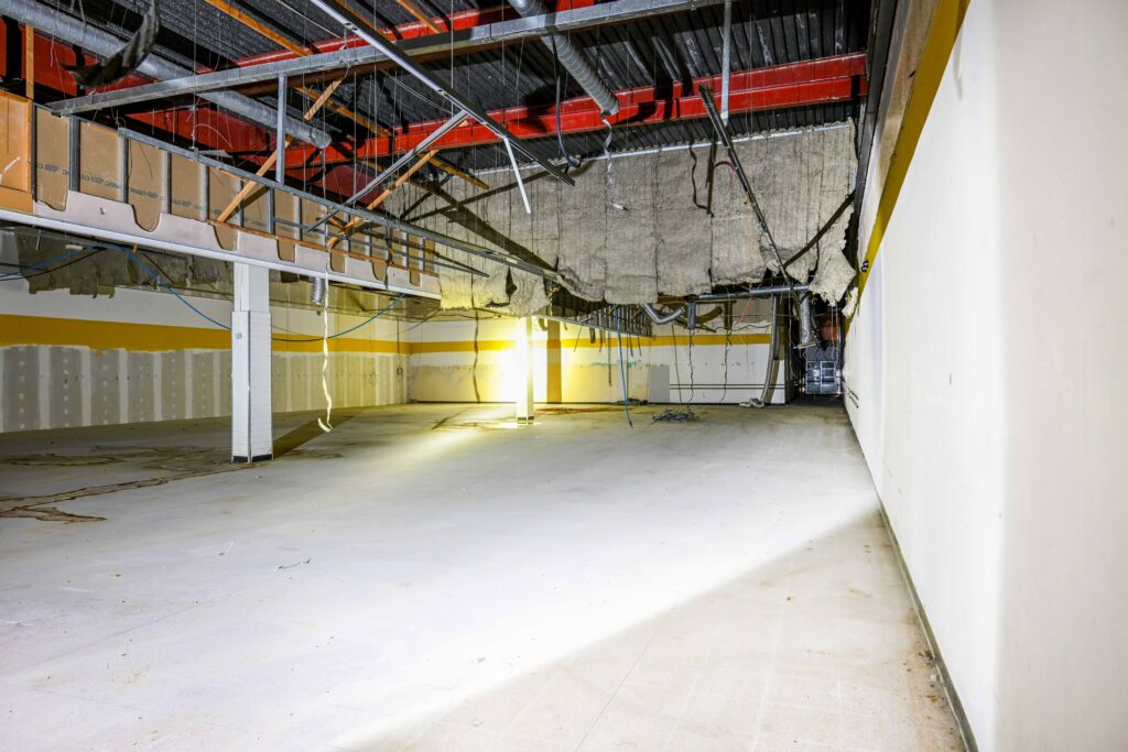 3-15 Osborne St interior 2025