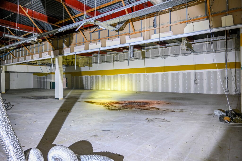3-15 Osborne St interior 2025