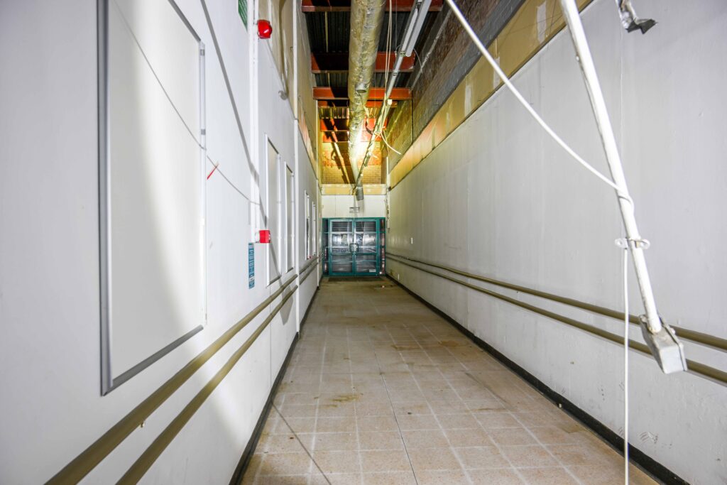 3-15 Osborne St interior 2025