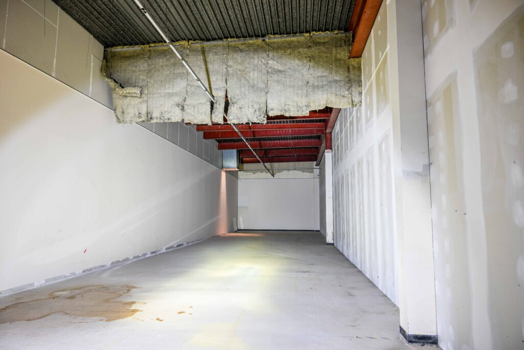 3-15 Osborne St interior 2025