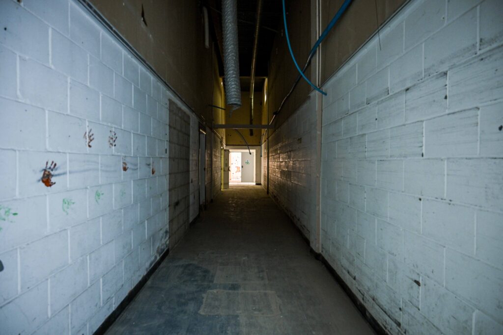3-15 Osborne St interior 2025