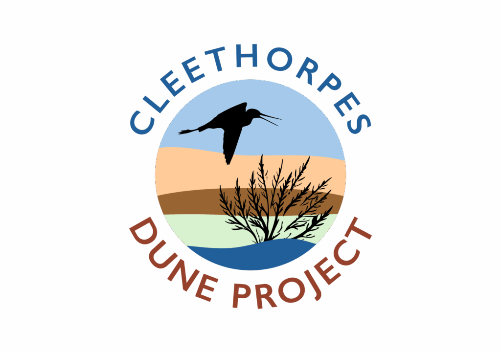 DUNE project logo