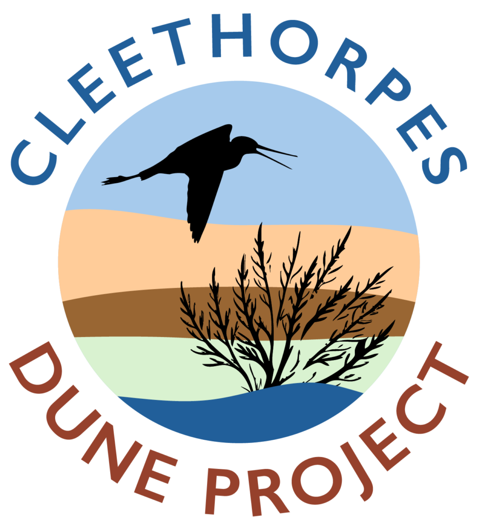 DUNE project logo