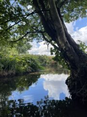 Image of a river