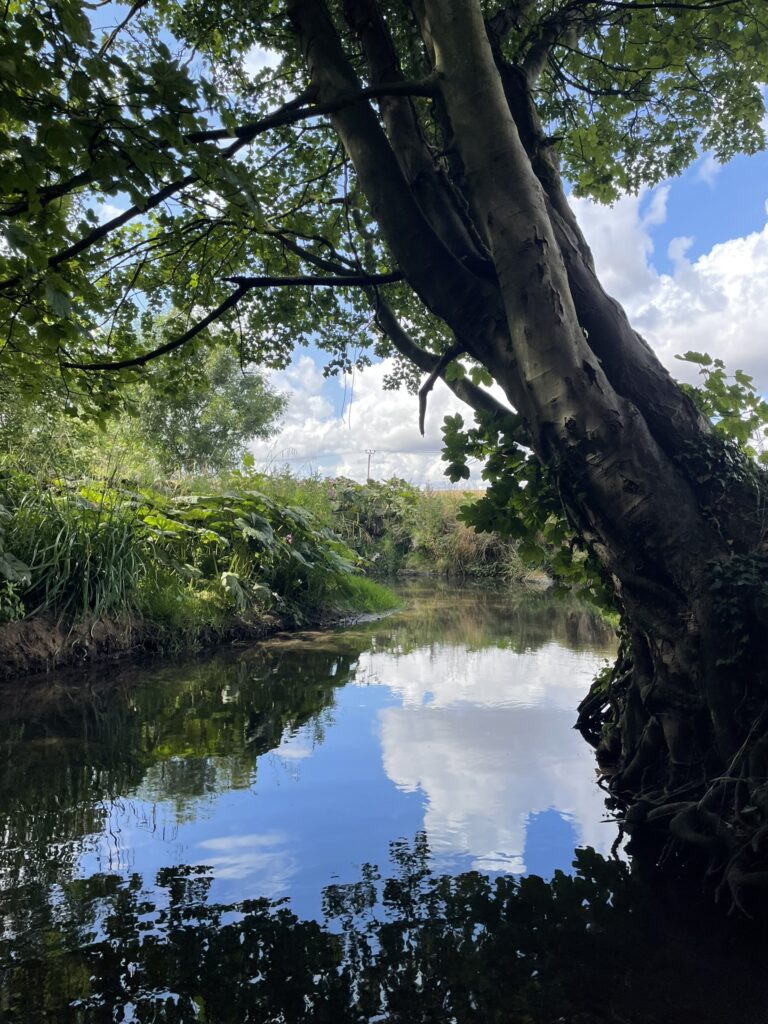 Image of a river