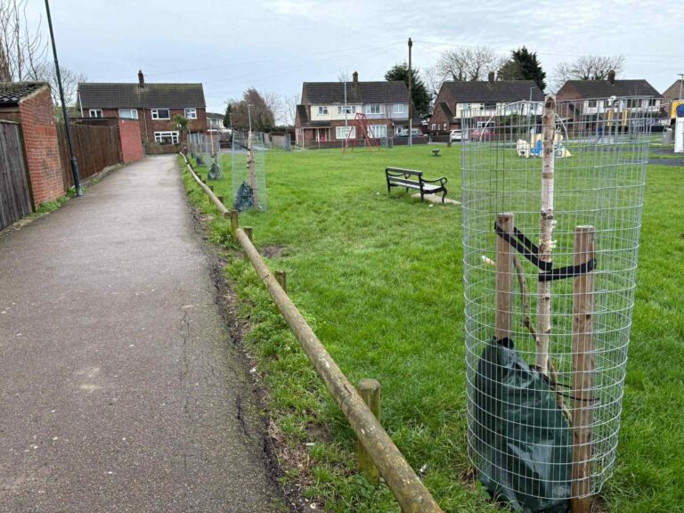 Residents asked for help after trees vandalised in Immingham
