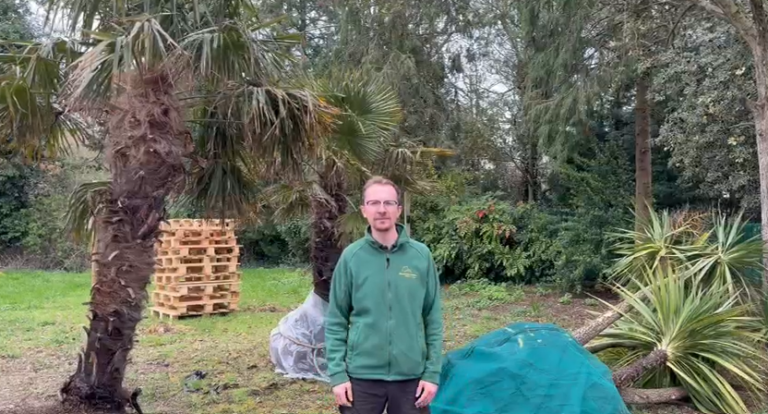 Cleethorpes history kept alive as Pier Gardens trees given new lease of life