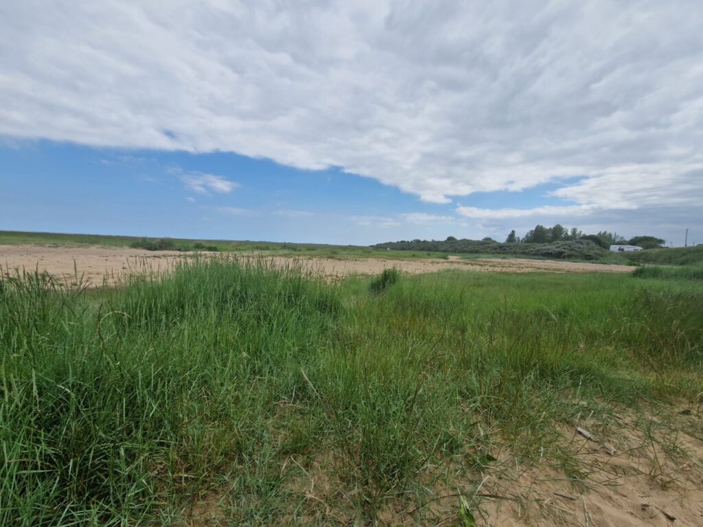 Don’t forget to respect our protected sand dunes this weekend