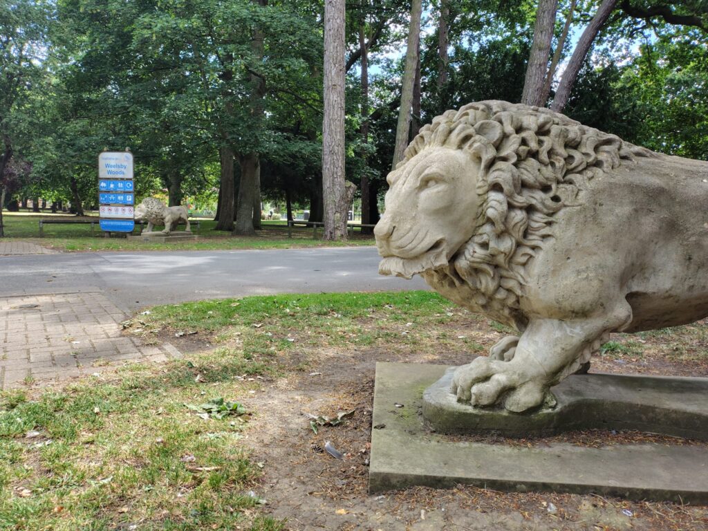 150 years of the Weelsby woods lions – but how did they get there?