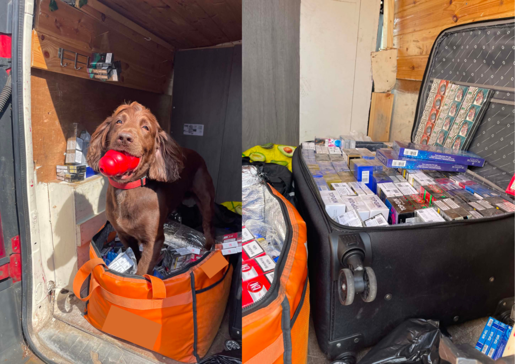 Illegal vapes and cigarettes are seized as part of Council operation