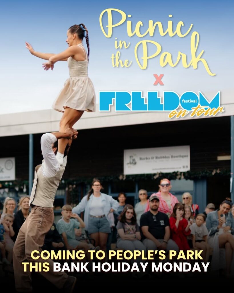 picnic in the park x freedom fest poster