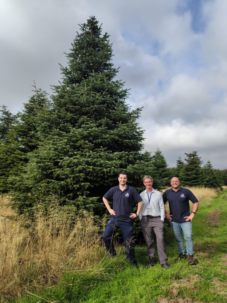 Christmas has come early for Grimsby – the tree is picked and we’re ready to go