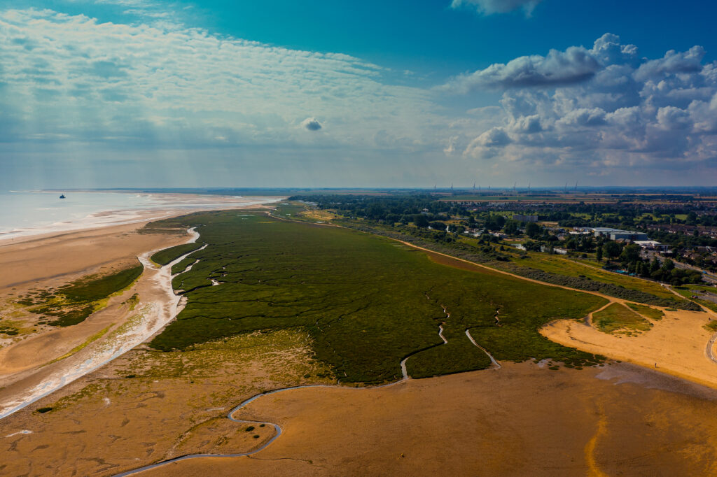 Cleethorpes LNR Saltmarsh