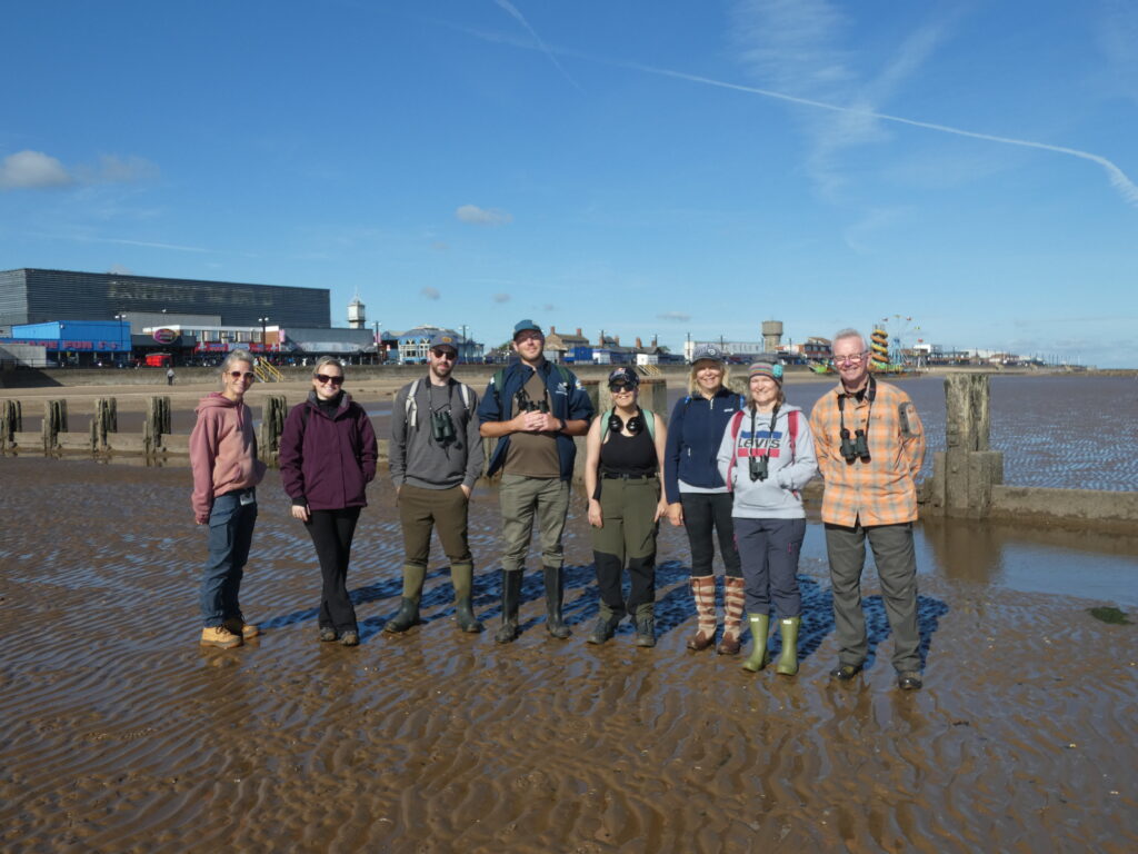 Cleethorpes Polychaete Survey
