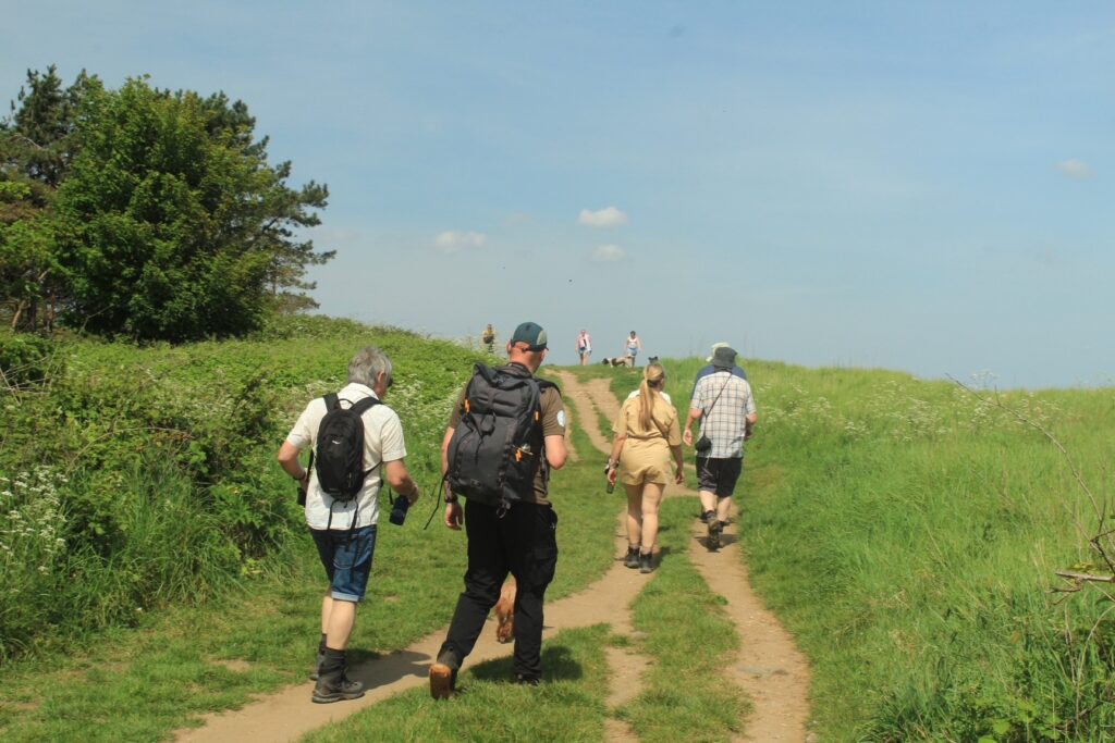 Guided Nature Walk - Humberston Fitties