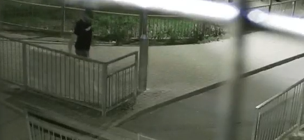 Caught on camera: Do you know this fly tipper?