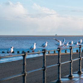 why become a social worker in north east lincolnshire north east become a social worker uk