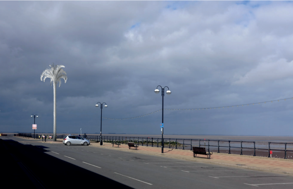 White Palm on the North Promenade
